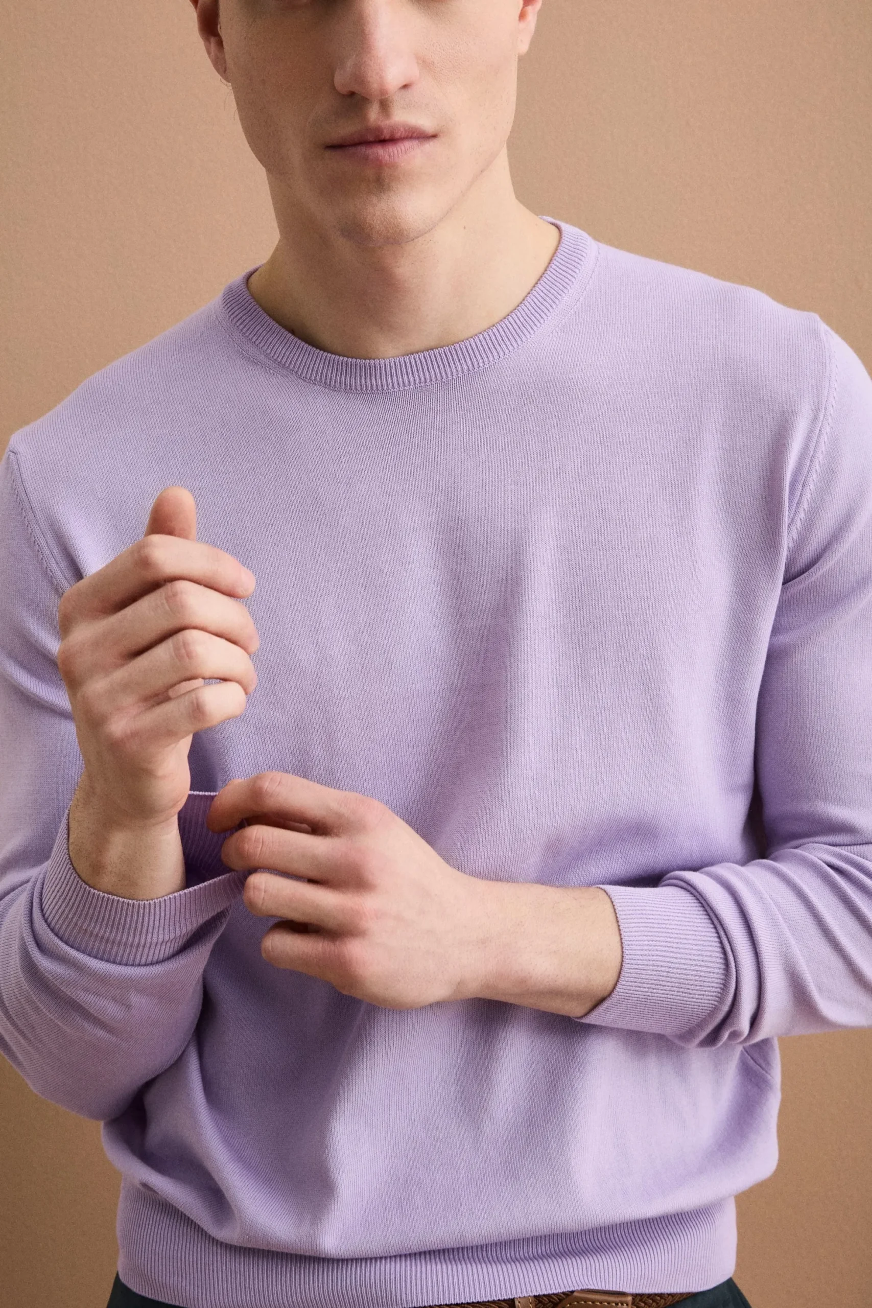 Maglia girocollo in cotone - LAVANDA