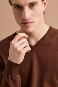 Maglia Scollo a V Regular Fit in Cotone - MARRONE
