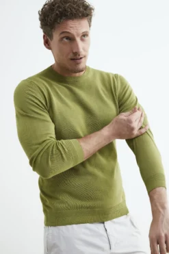 Maglia slim girocollo - LICHENE